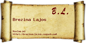 Brezina Lajos névjegykártya